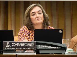 Cristina Herrero comparece en el Congreso de los Diputados