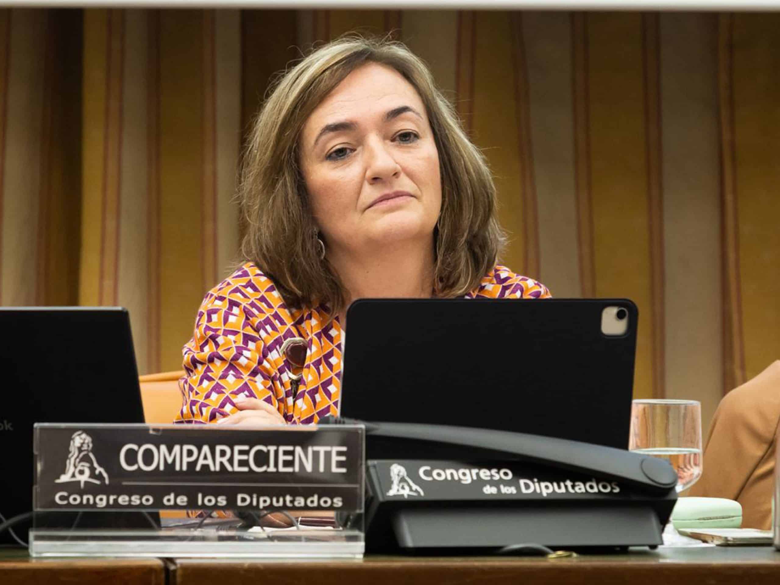 Cristina Herrero en el Congreso de los Diputados